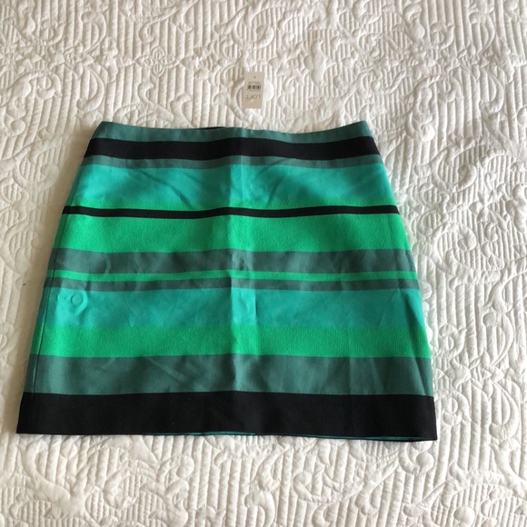 Ann Taylor Dresses & Skirts - Ann Taylor skirt 8